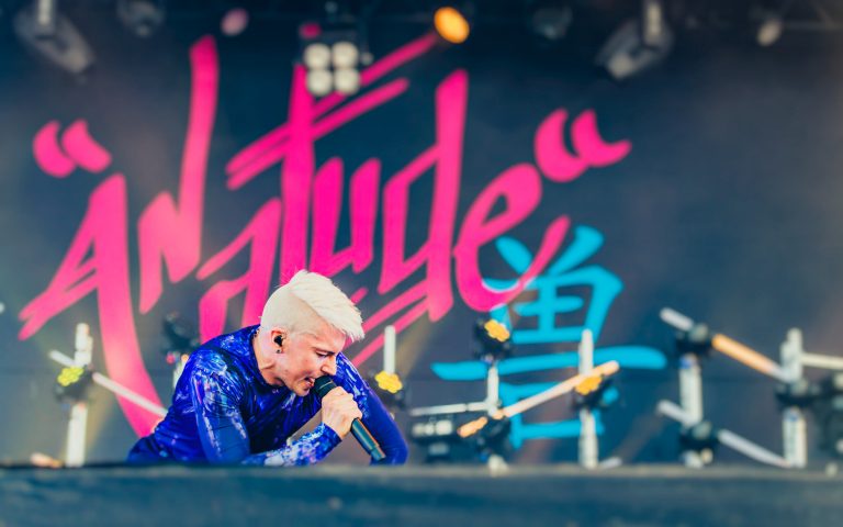 Ruisrock 2017